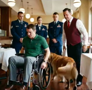 “Get that dog out of here!” — When a Fine-Dining Restaurant Crossed the Line on Disability Rights